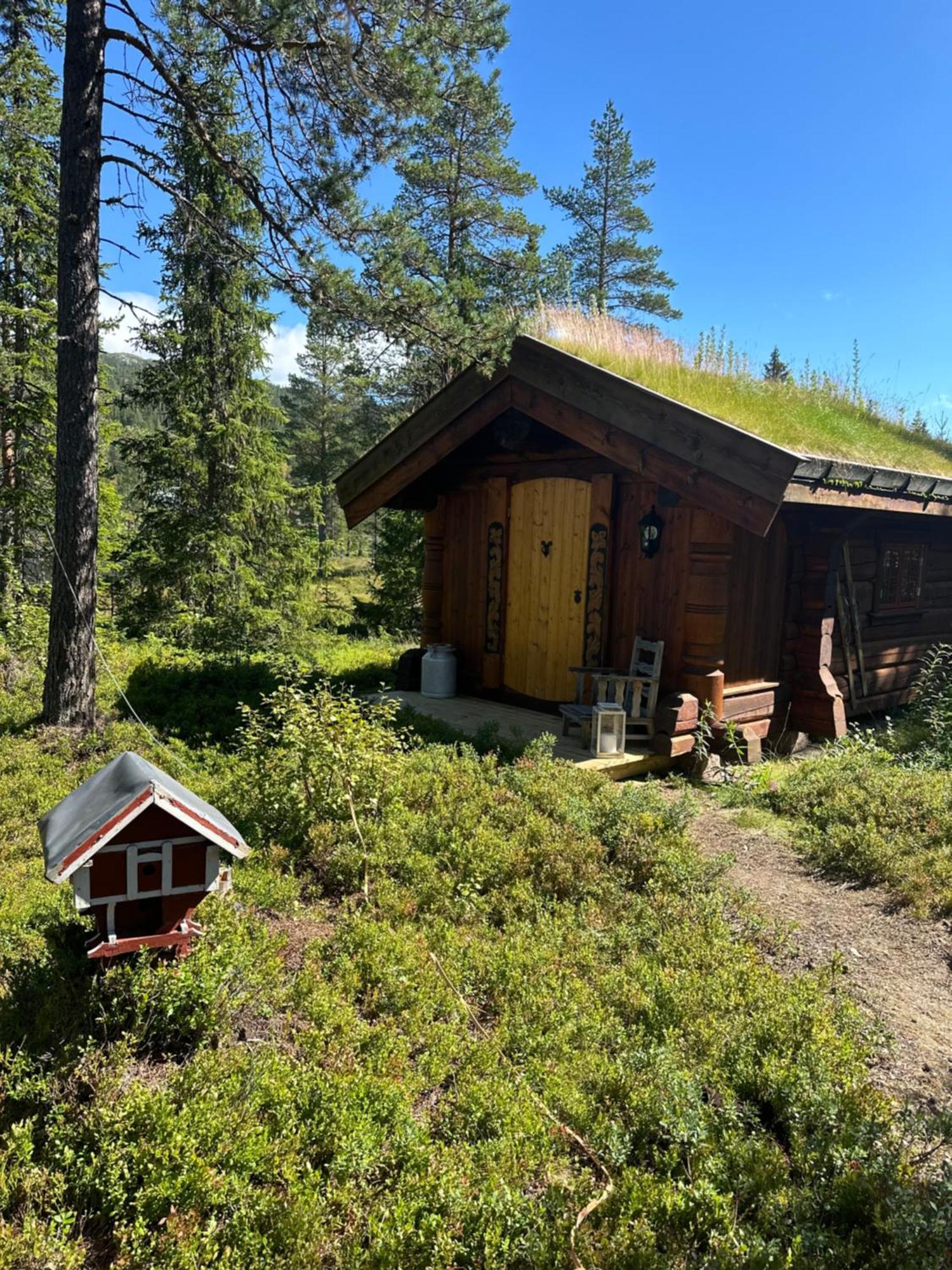 Hytta Pa Oyfjell Vila Exterior foto