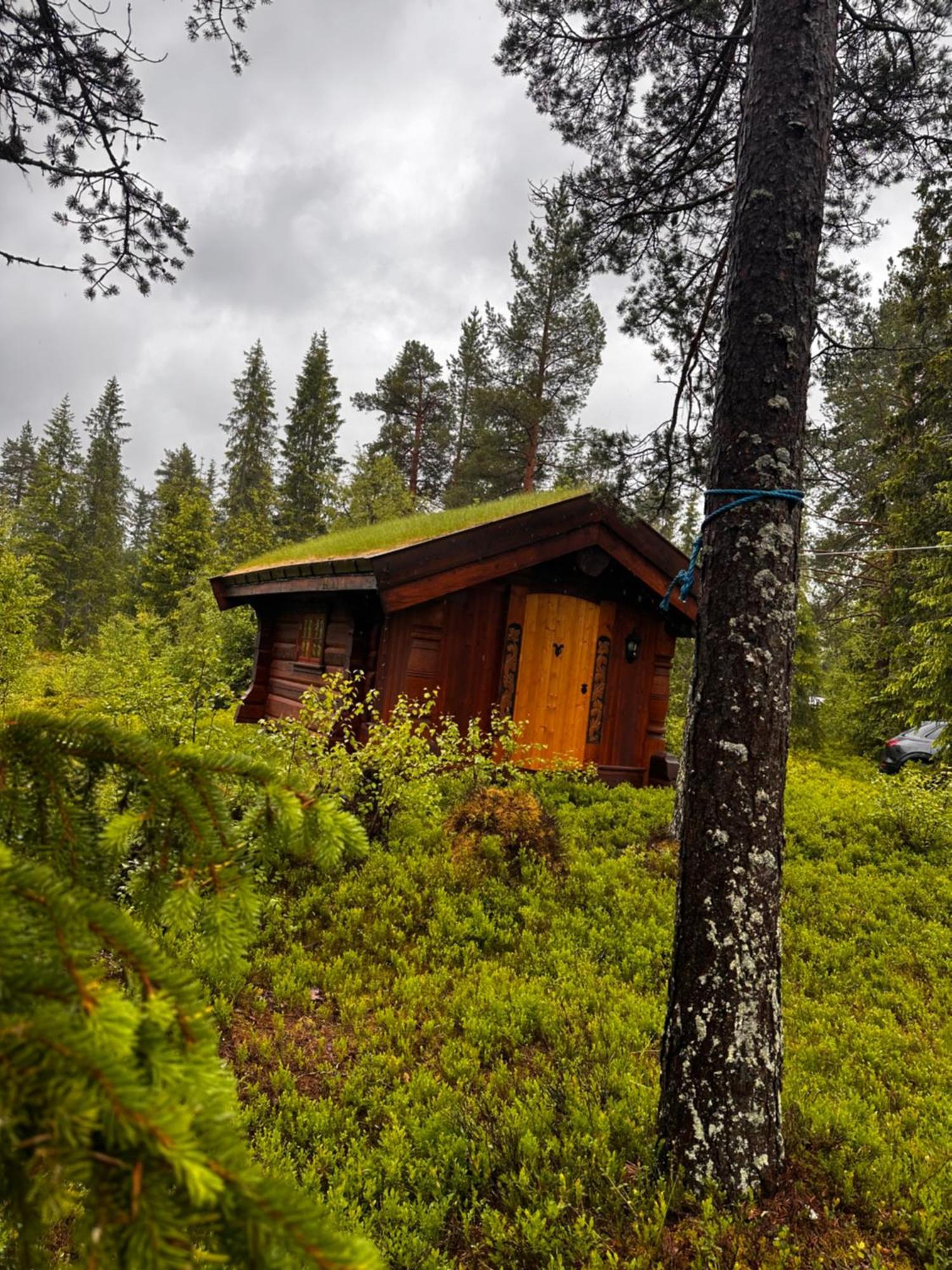 Hytta Pa Oyfjell Vila Exterior foto