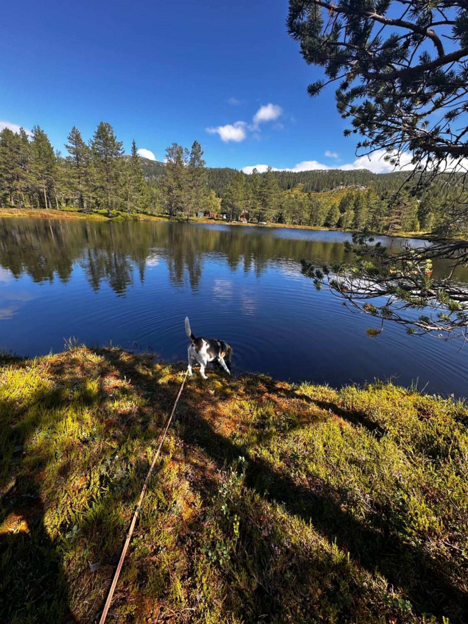 Hytta Pa Oyfjell Vila Exterior foto