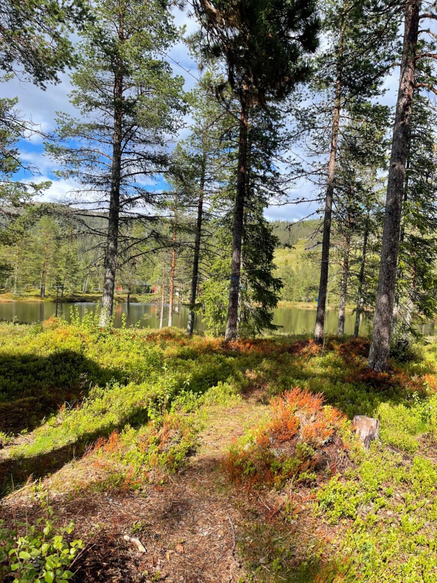 Hytta Pa Oyfjell Vila Exterior foto