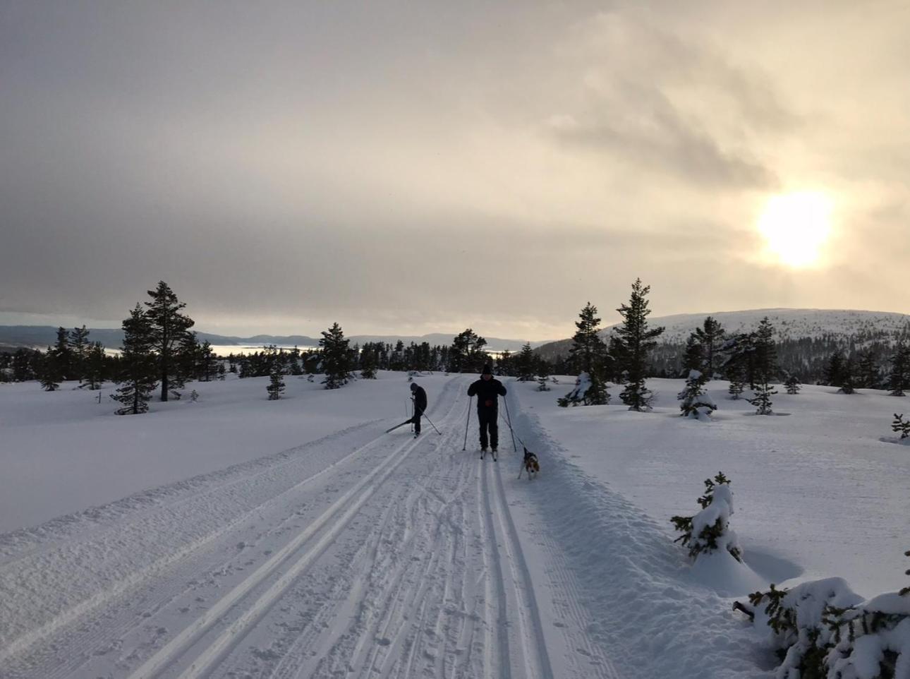 Hytta Pa Oyfjell Vila Exterior foto