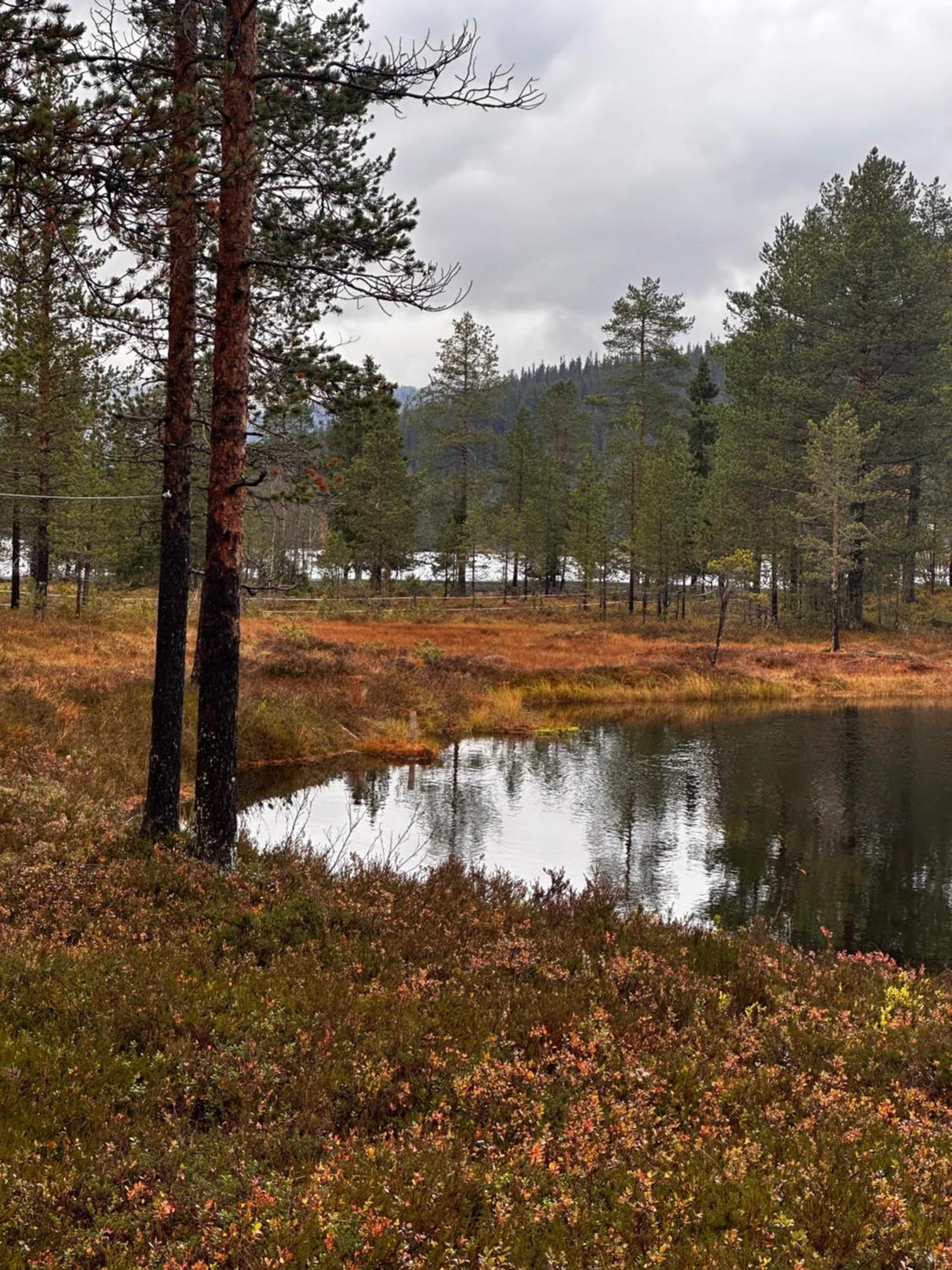 Hytta Pa Oyfjell Vila Exterior foto