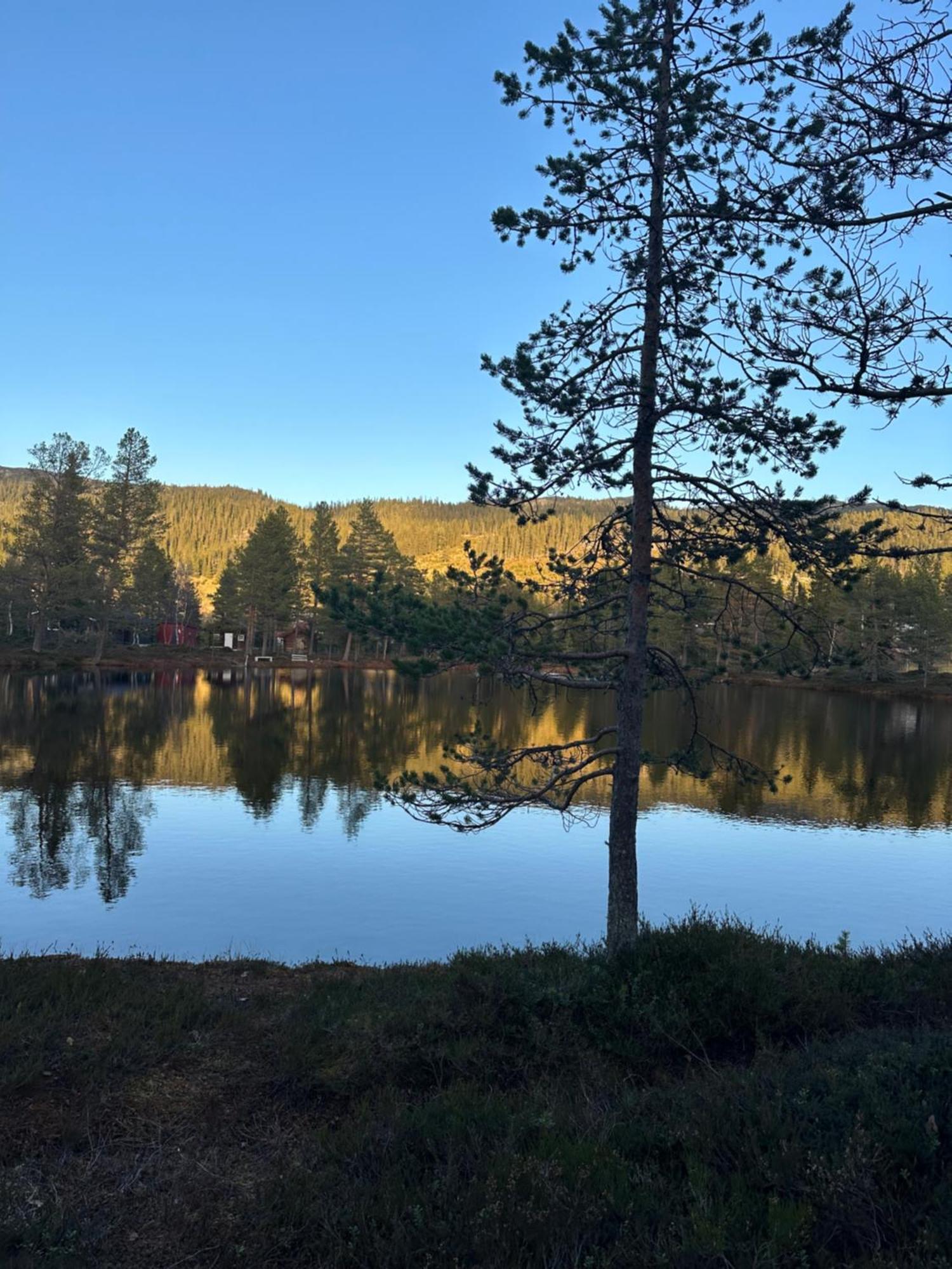Hytta Pa Oyfjell Vila Exterior foto